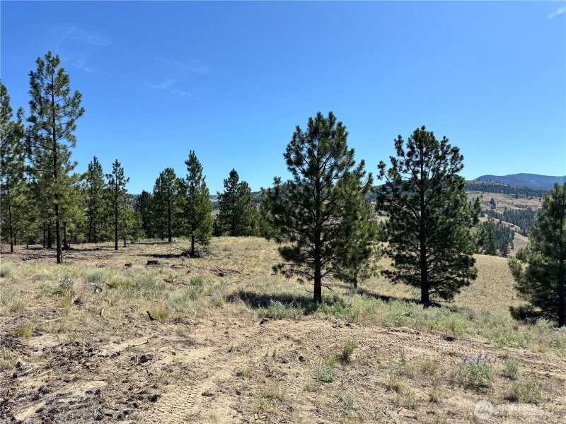 2 B Lundimo Meadows Road photo 19