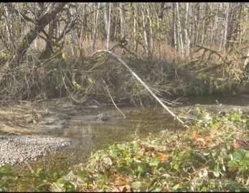 0 Sauk Road photo 1