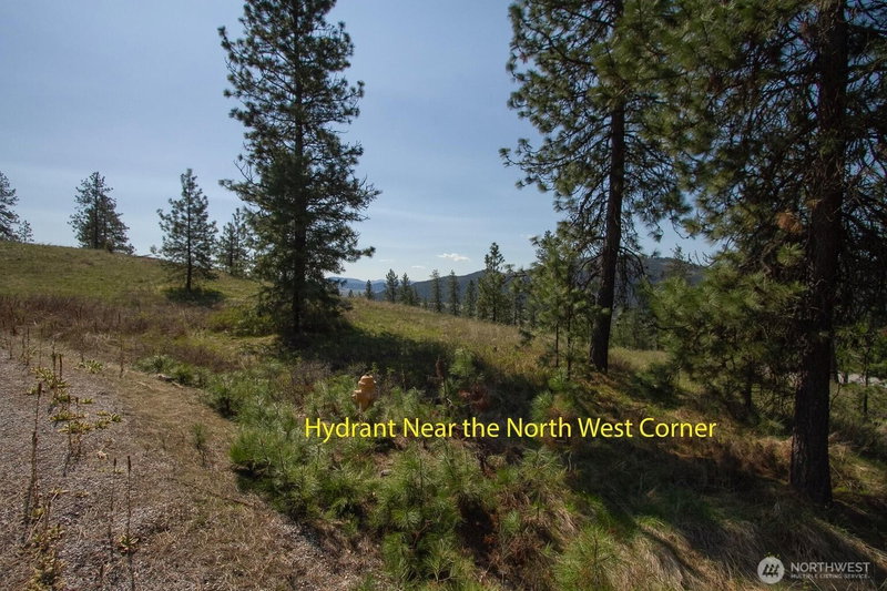 1622 Palmer Loop photo 2