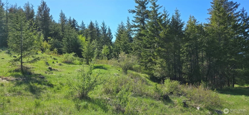 111 Ellemeham Mtn photo 2
