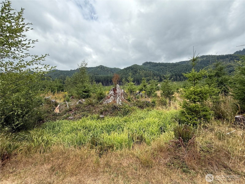 327 xx Kolisch Road E photo 2