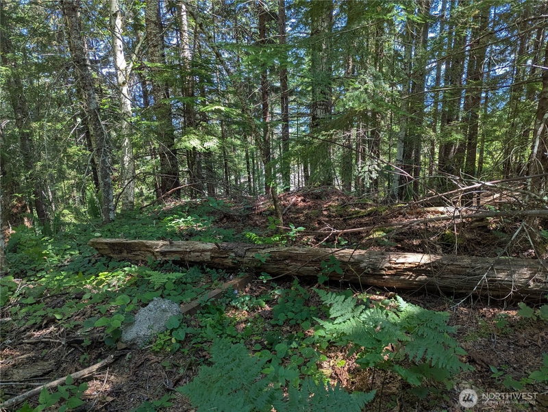 111 Dow Mtn Road photo 2