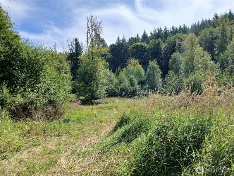 0 Boyd Road photo 2
