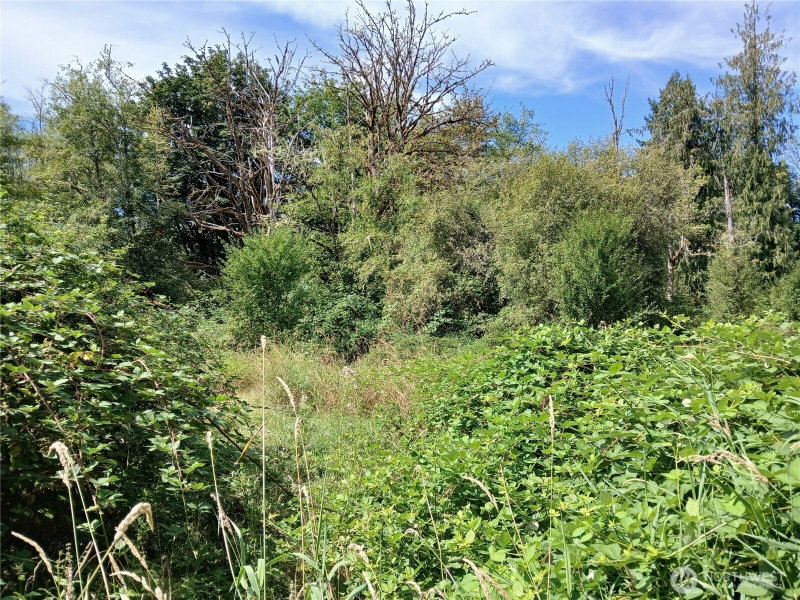 0 Boyd Road photo 9