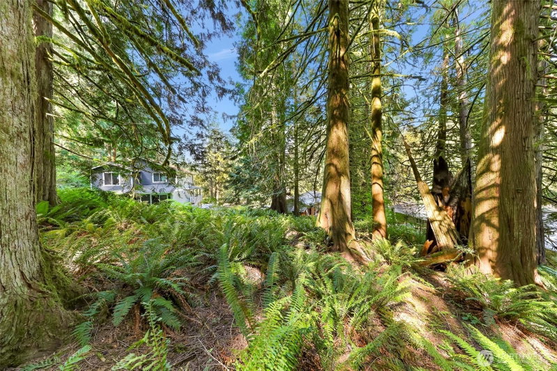 14 Woodpecker Place photo 1