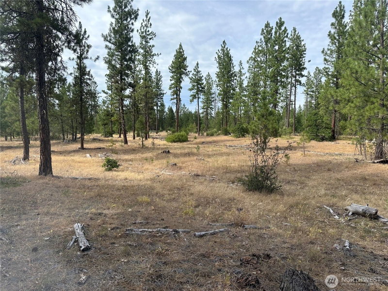 3 Greyback Mt Road photo 1