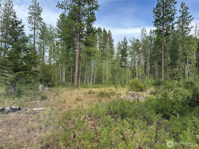 3 Greyback Mt Road photo 2