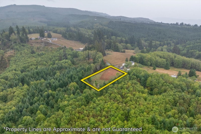 307 Greenwood Road photo 12