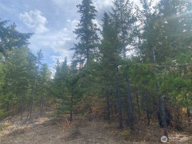 8888 Deer Creek Drive photo 31