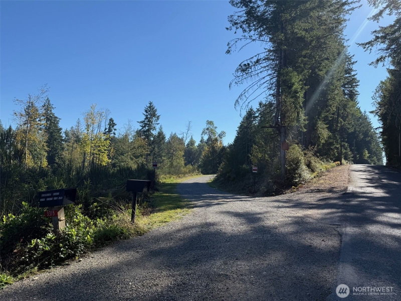 17509 29th Street Ct SW photo 26