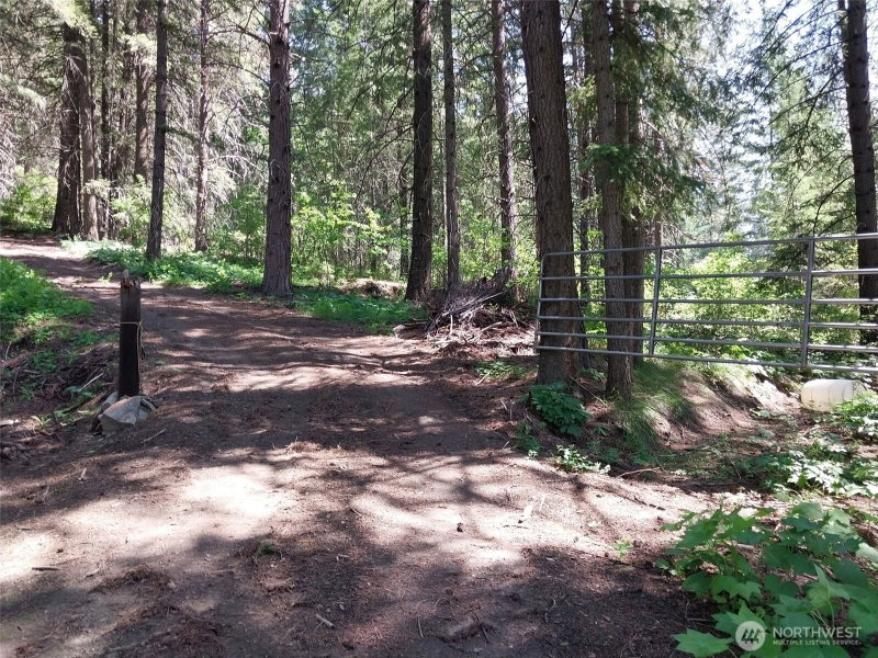 16991 16965 Chumstick Highway photo 13