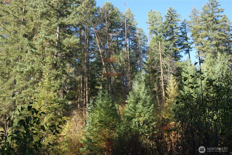 8 Ginger Way photo 15
