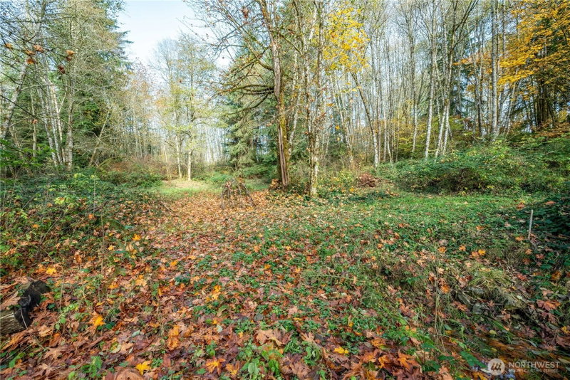 942 Stella Road photo 22