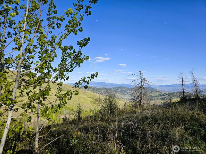 1111 Bottom Road photo 2
