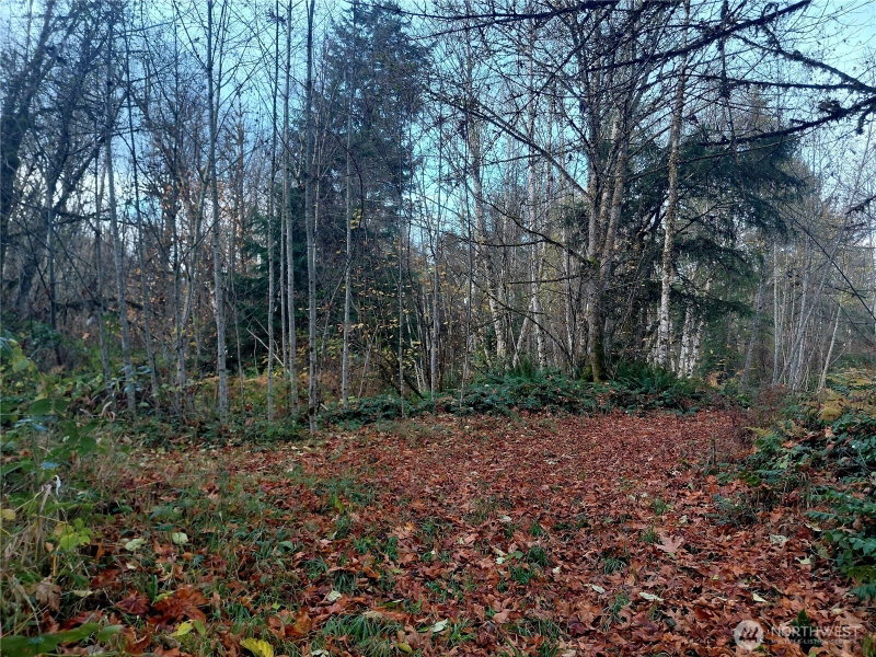 0 Lot 9 Old Barn Road photo 2