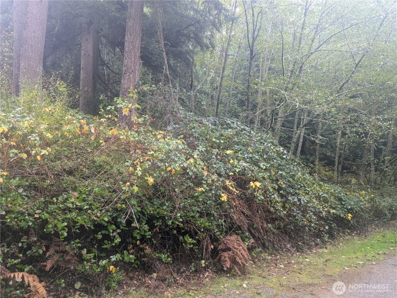 0 XXX Jewett Road photo 2