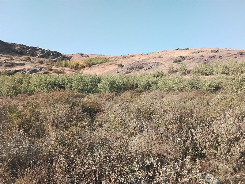 5 Painted Rock Road photo 1