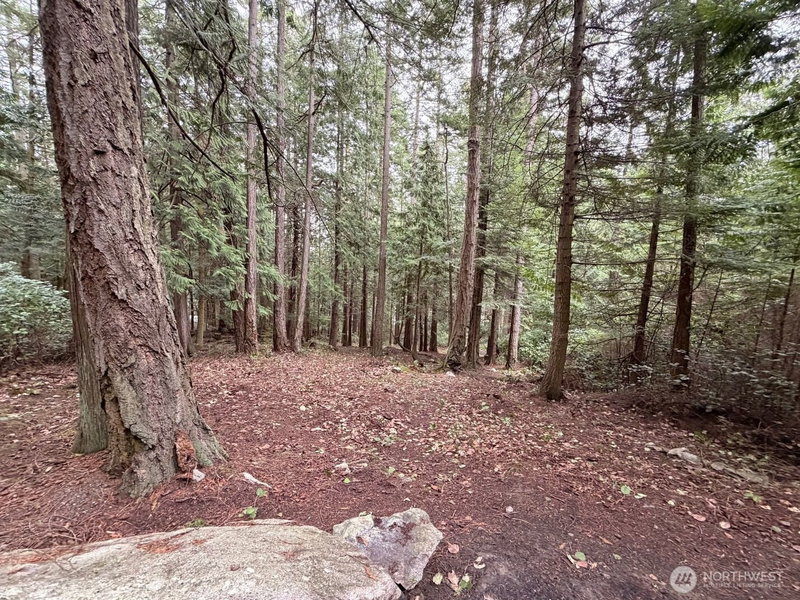 0 Woodhaven Lane photo 2