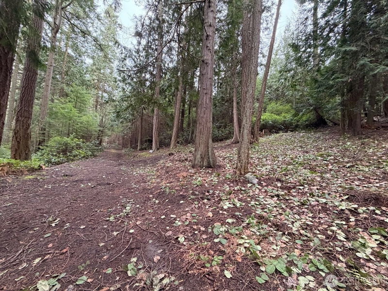 0 Woodhaven Lane photo 8