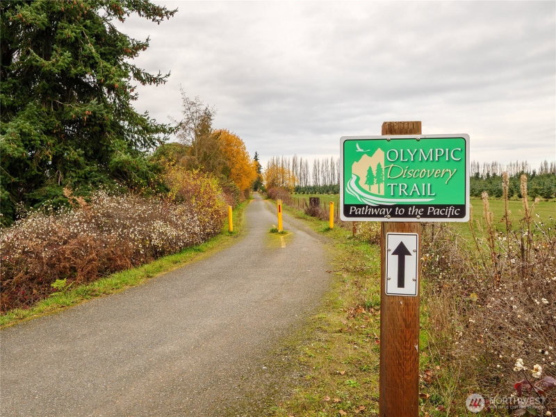 5953 Old Olympic Highway photo 39