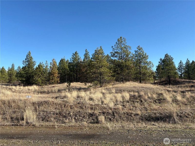 35350 Prairie Lane N #Lot 7 photo 1