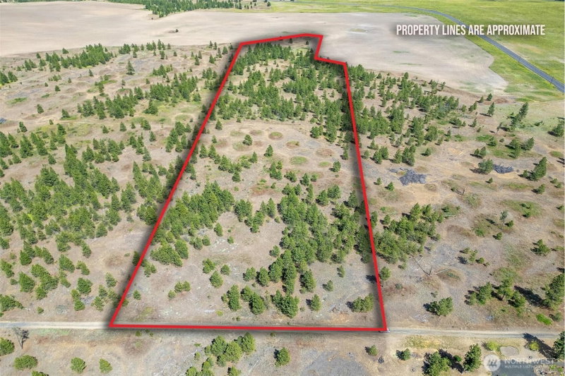35350 Prairie Lane N #Lot 7 photo 2