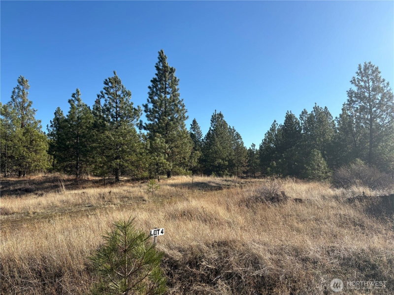 35410 Prairie Lane N #Lot 4 photo 1