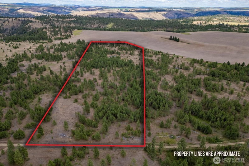 35450 Prairie Lane N #Lot 2 photo 2