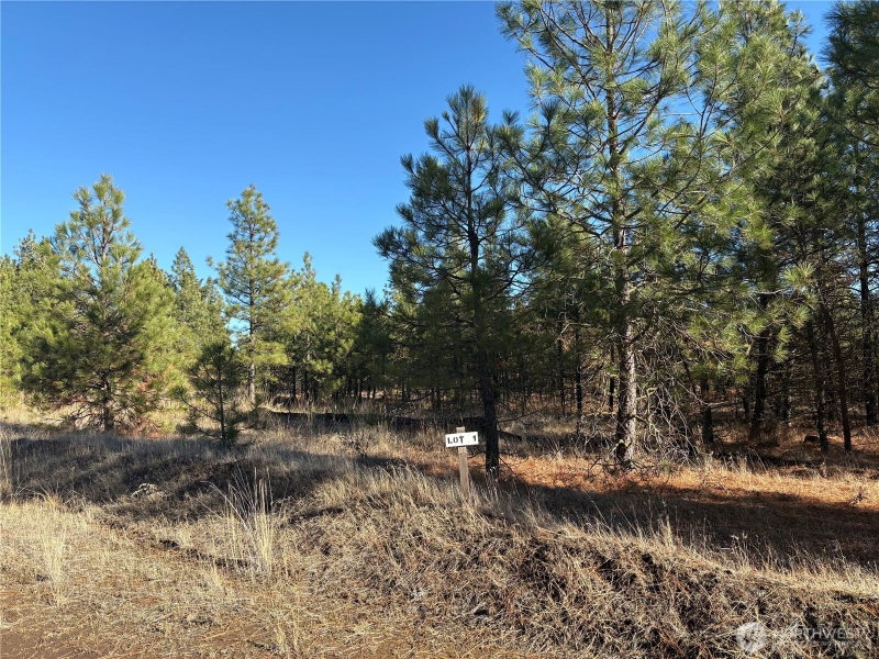 35470 Prairie Lane N #Lot 1 photo 1
