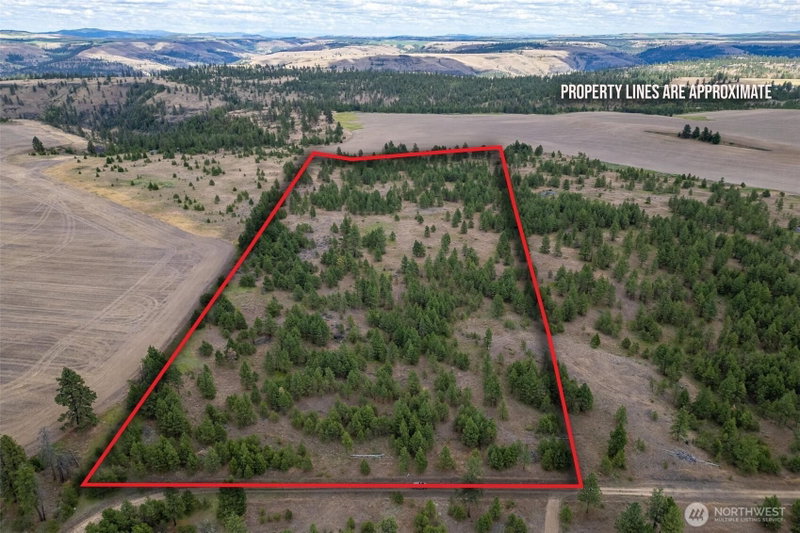 35470 Prairie Lane N #Lot 1 photo 2