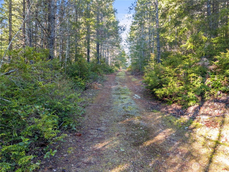 730 NE Black Bear Road photo 2