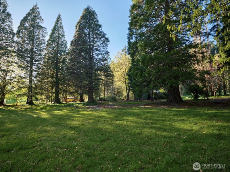 11846 Lewis River Road photo 2
