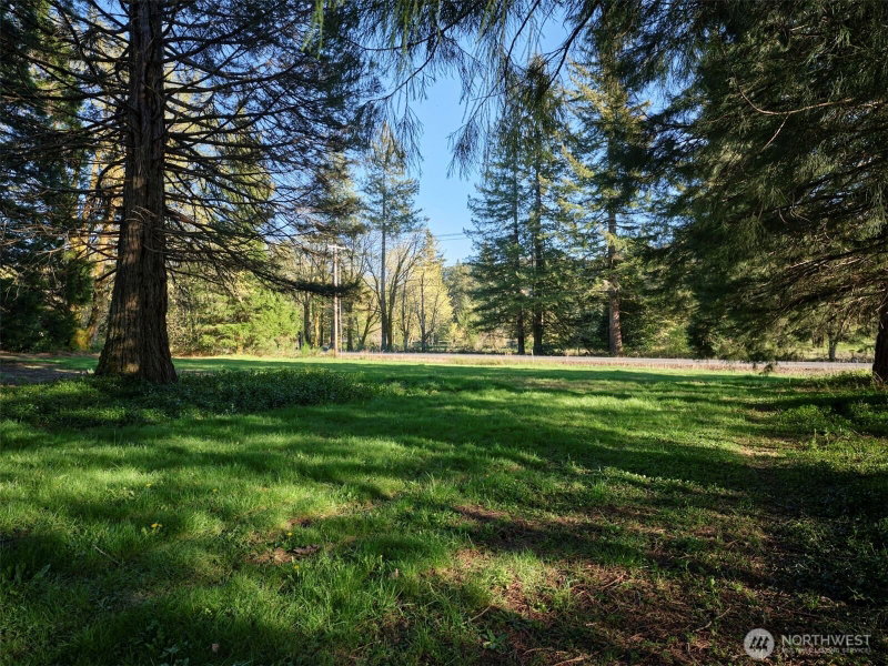 11846 Lewis River Road photo 33