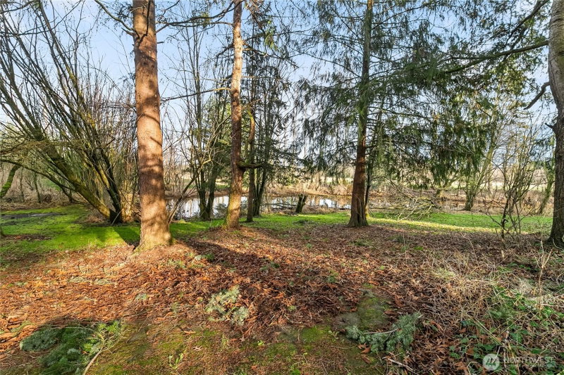7406 Oat Coles Road photo 40