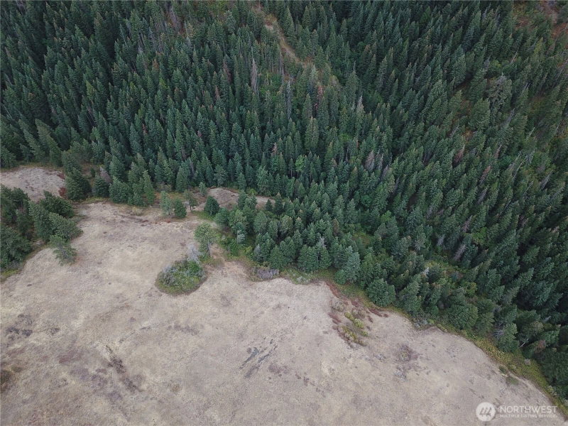 30 Acres off Biscuit Ridge photo 16