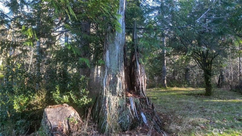 441 W Elma Hicklin Rd photo 10