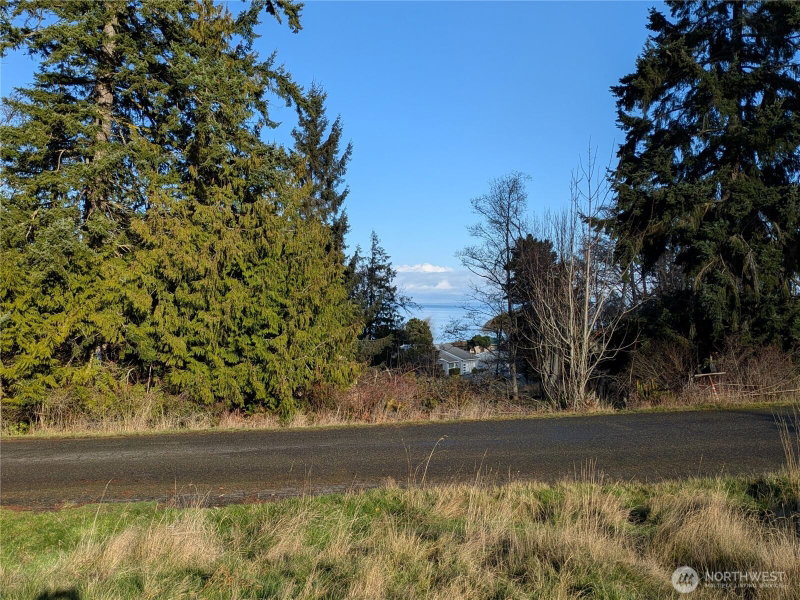 173 Island Vista Way photo 1