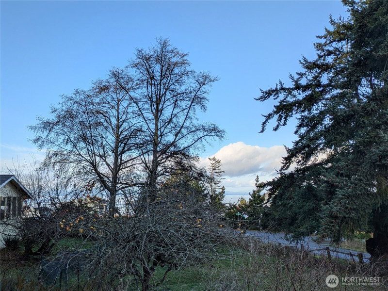 173 Island Vista Way photo 2