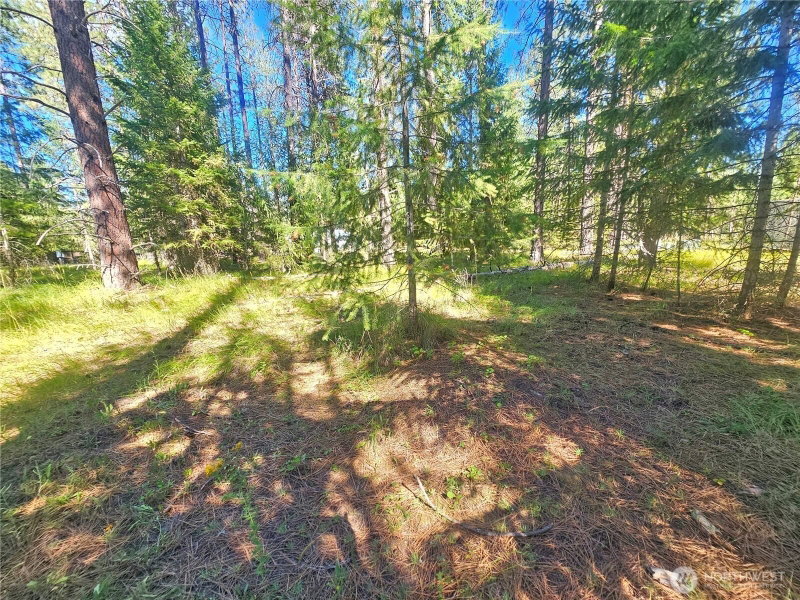 270 Eagle Dr photo 2