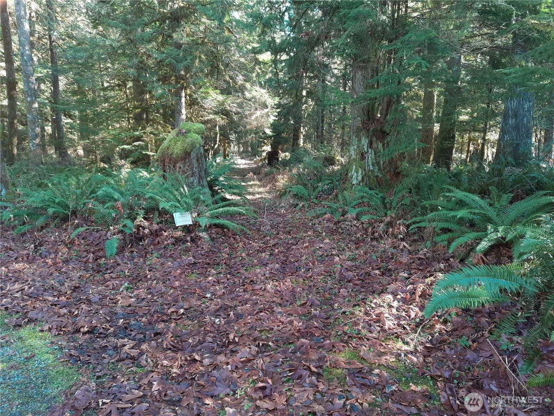 9306 Dandy Place photo 40