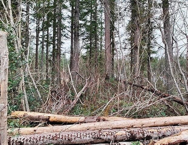 355 xx 312th ST Way SE photo 28
