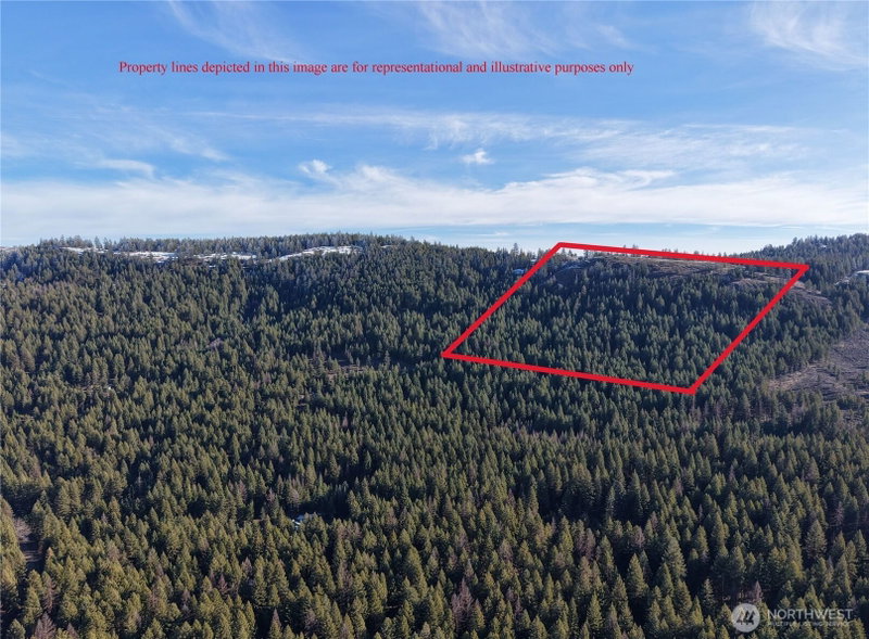 9999 TBD Lundimo Meadows Road photo 10