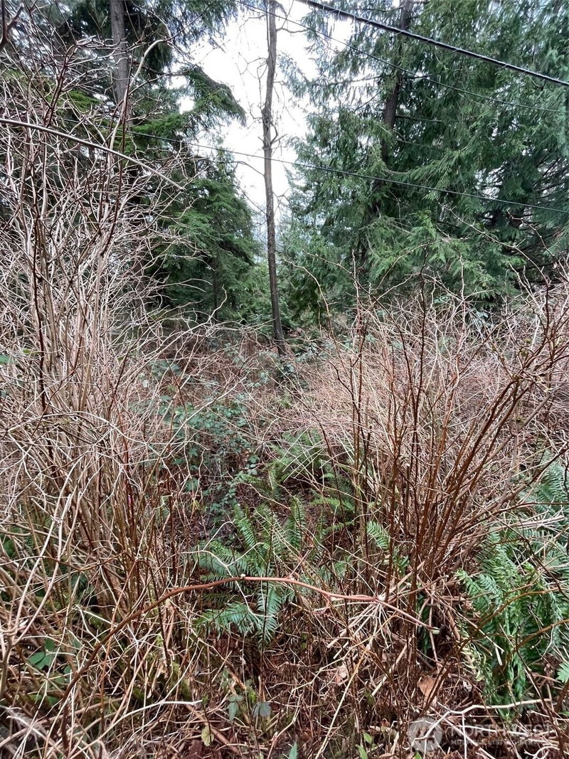 1268 Island Drive photo 2