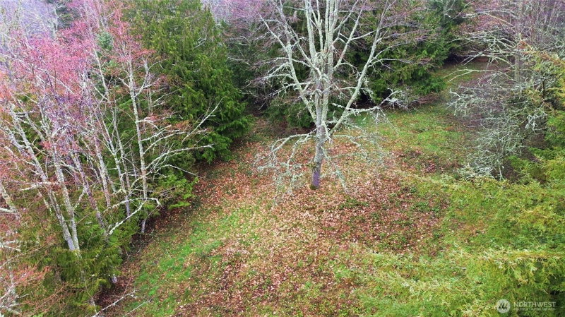 0 Wesner Street photo 17