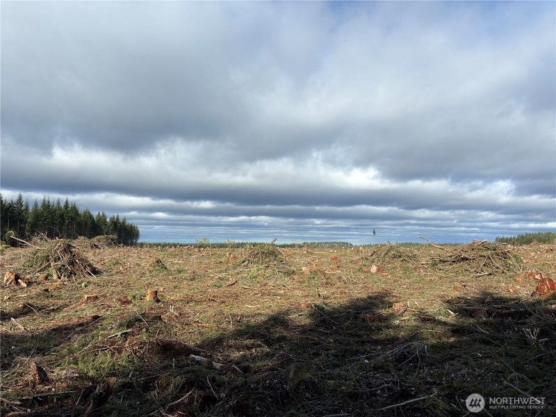 28840 Freelane Road photo 2