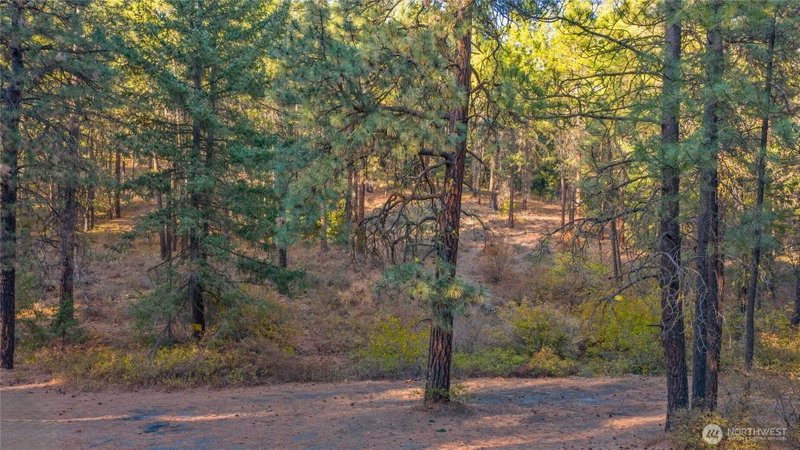 15 XX Elk Heights Road photo 2