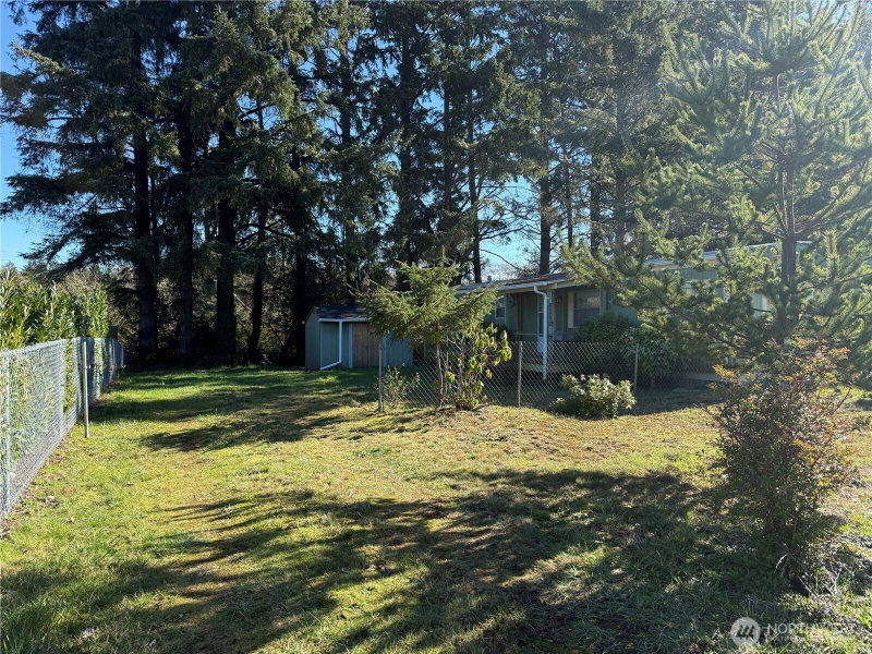 24800 Ash Place photo 18
