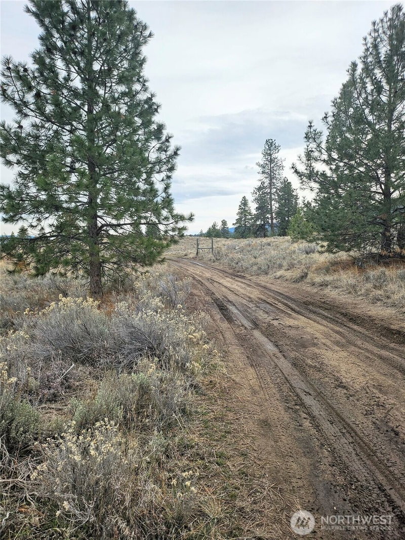 1 TBD Badger Road photo 12