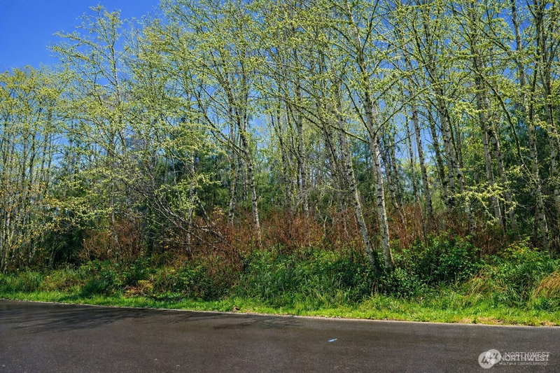 821 Duck Lake Drive NE photo 1
