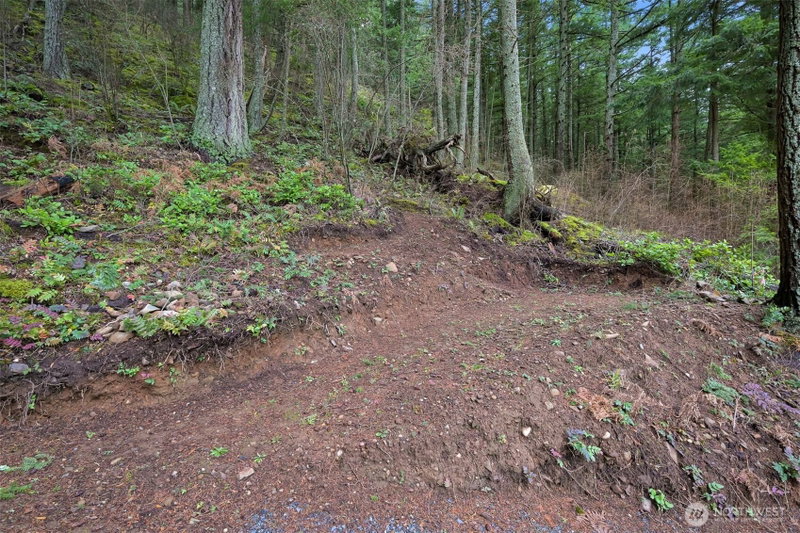 3071 3073 Hales Passage Drive photo 28